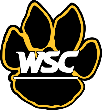 Augustana Vikings vs. Wayne State