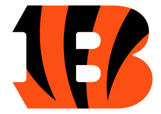 Houston Texans vs. Cincinnati Bengals