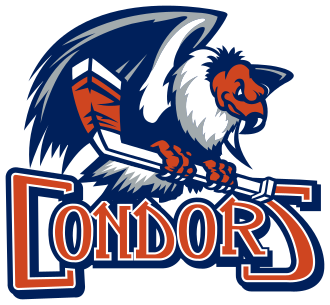 San Diego Gulls vs. Bakersfield Condors