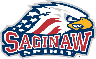 Flint Firebirds vs. Saginaw Spirit