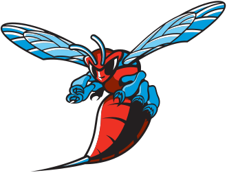 Norfolk State Spartans vs. Delaware State Hornets