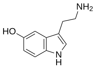 Seratonin