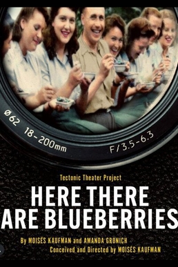 Here There Are Blueberries