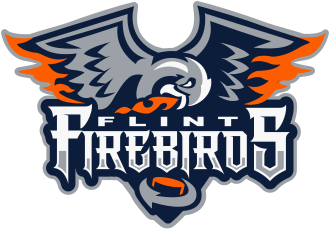 Flint Firebirds vs. Sault Ste. Marie Greyhounds