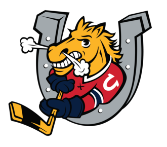 Flint Firebirds vs. Barrie Colts