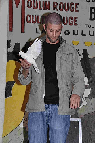 Darcy Oake