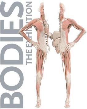 Bodies: The Exhibition (Multiple Dates and Times)